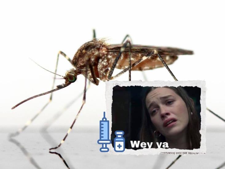 Vacuna desarrollada contra el virus Oropouche transmitido por mosquitos