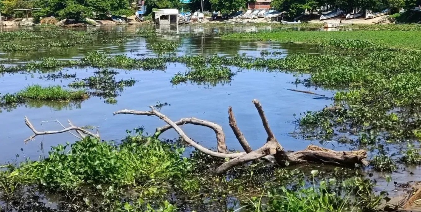 Afectados por contaminaciÃƒÂ³n en rÃƒÂ­o de Villa Allende