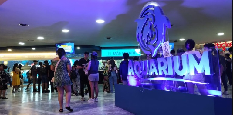 Afluencia rÃƒÂ©cord de turistas en el Acuario de Veracruz