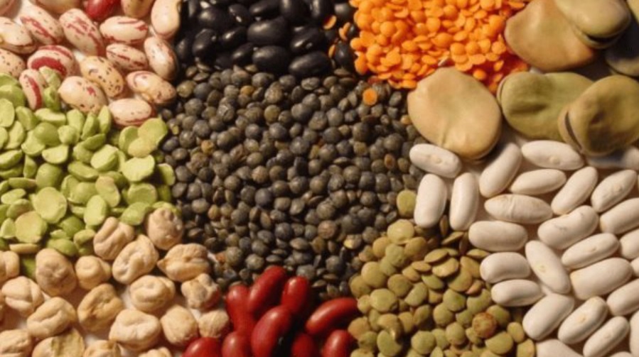 Agrobiodiversidad vegetal: clave para la alimentación en México
