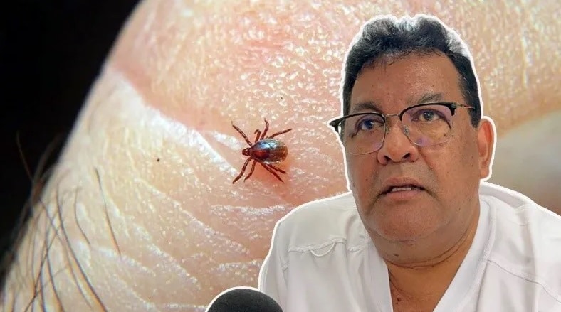Alerta: brote de Rickettsia en trabajadores agrÃƒÂ­colas de Coatzacoalcos