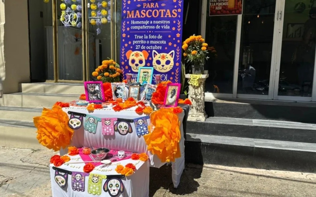 Altares para mascotas fallecidas en Coatzacoalcos por DÃƒÂ­a de Muertos