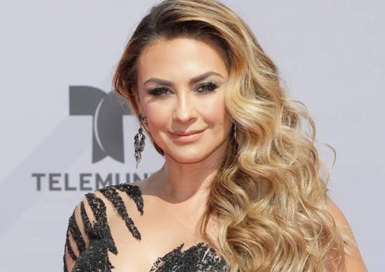 Aracely ArÃƒÂ¡mbula deslumbrarÃƒÂ¡ en Veracruz con Perfume de Gardenias