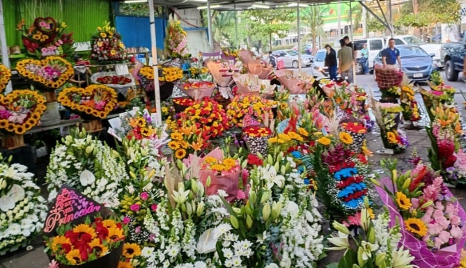Aumento del 50% en venta de flores en Veracruz