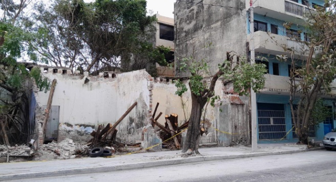 CaÃƒÂ­da de ÃƒÂ¡rbol deja sin energÃƒÂ­a a edificio en Veracruz