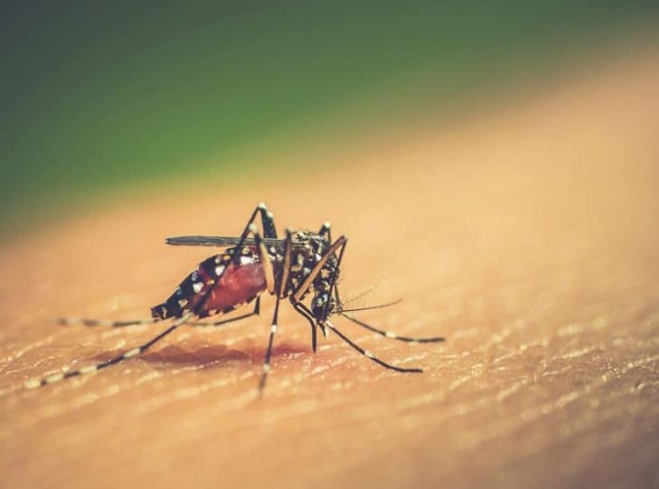 CampaÃƒÂ±a intensiva contra el dengue en San AndrÃƒÂ©s Tuxtla