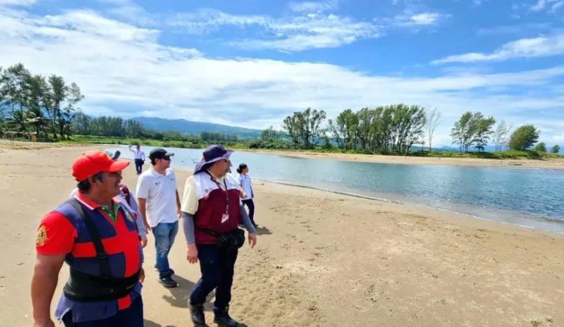 CapacitaciÃƒÂ³n sobre manejo sanitario de animales marinos en Veracruz