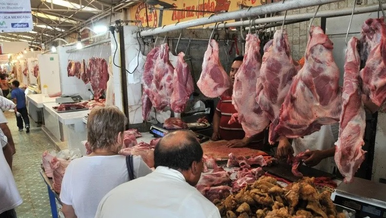 Coatzacoalcos: ventas de carne caen por gusano barrenador