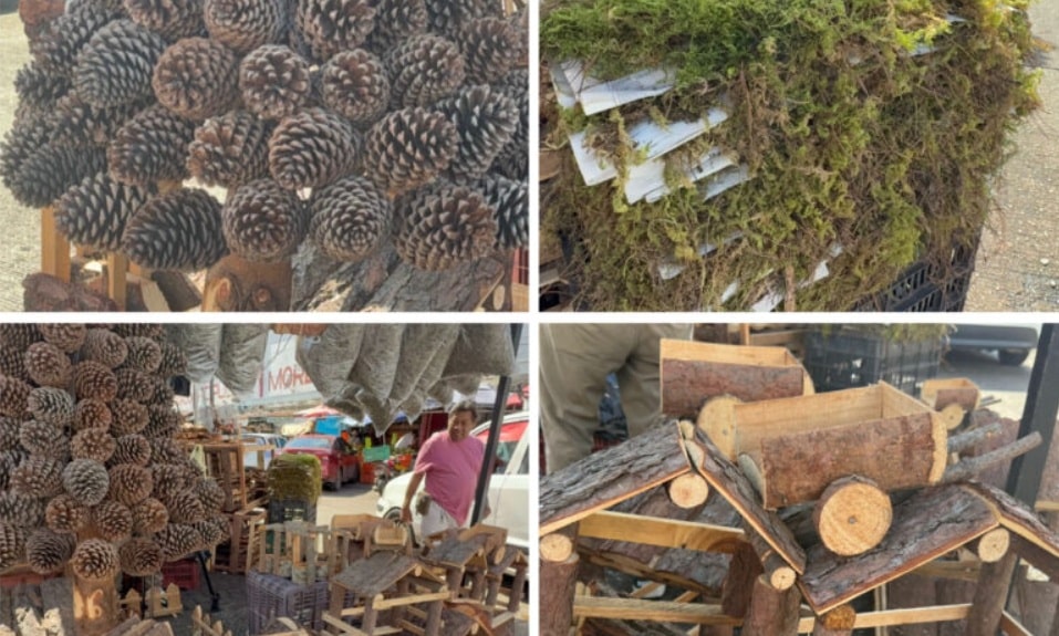 Comerciantes de artÃƒÂ­culos navideÃƒÂ±os se instalan en Coatzacoalcos