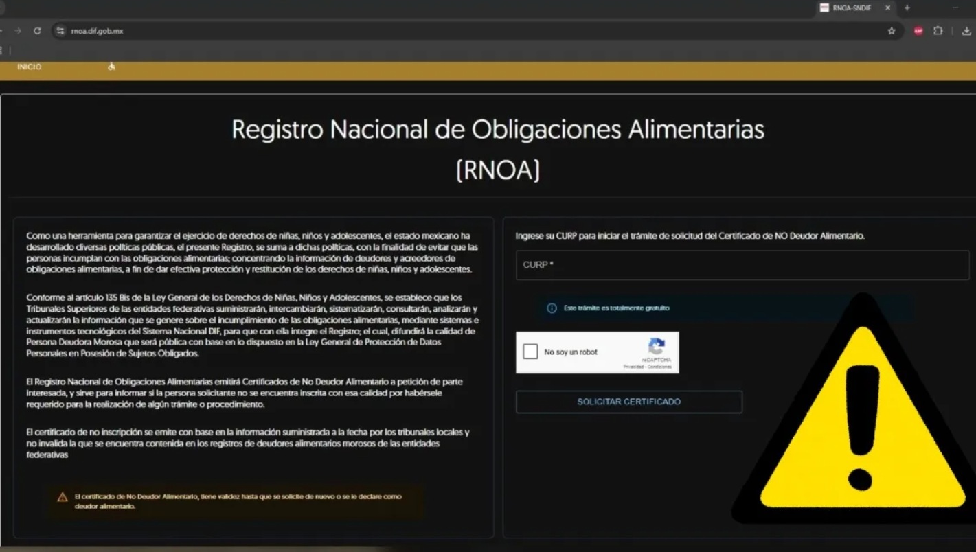 CÃƒÂ³modo obtener el certificado de no deudor alimentario en Coatzacoalcos