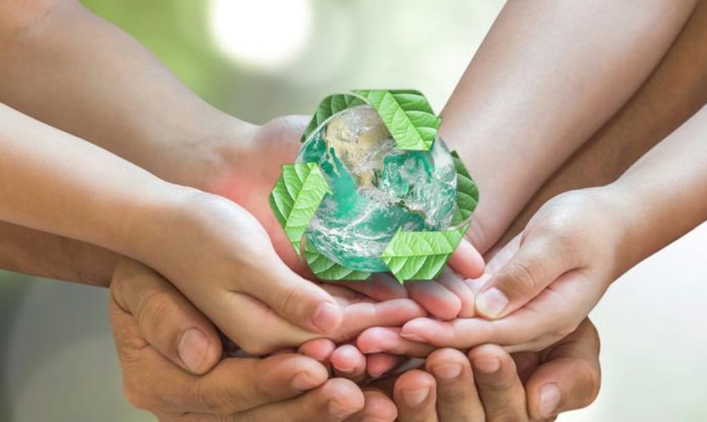 Compromiso ambiental: claves para una gestiÃƒÂ³n sustentable eficaz