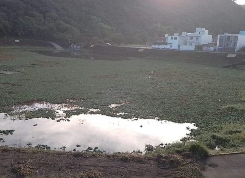 Crisis ambiental alarmante en la Laguna de Chirimoyo, Orizaba