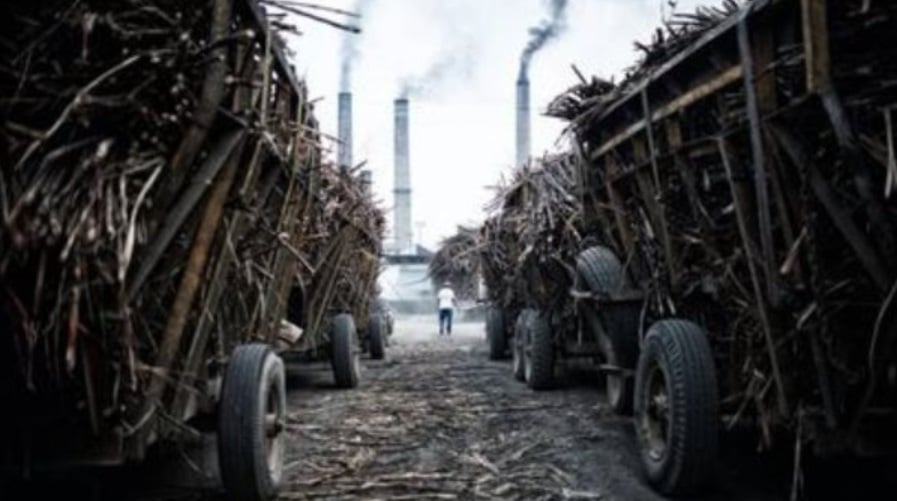 DaÃƒÂ±os ambientales en Veracruz por la zafra azucarera actual