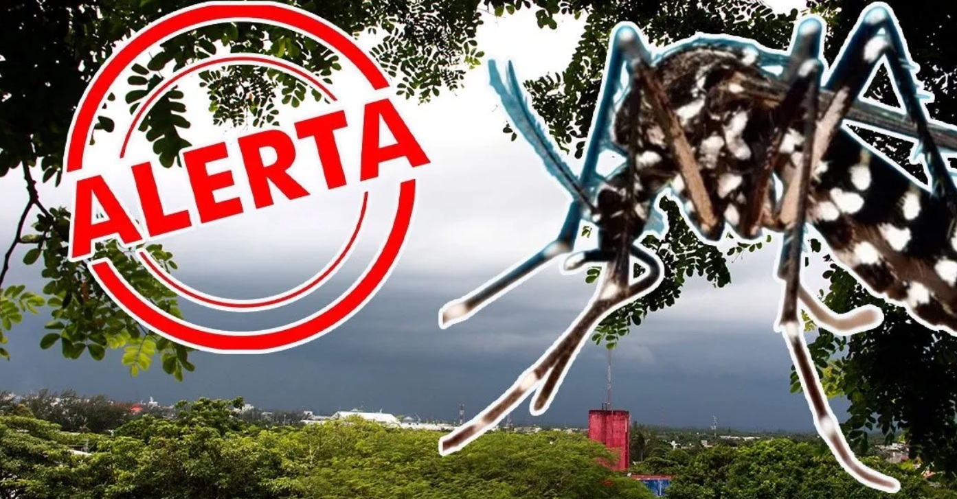 Dengue en Veracruz: Un grave problema de salud pÃƒÂºblica
