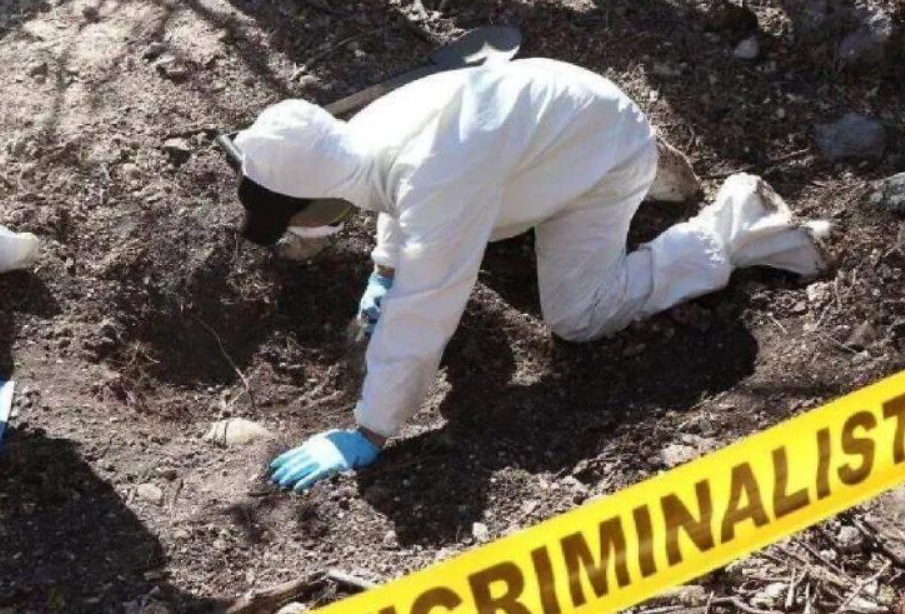 Desapariciones en Veracruz: Una herida abierta sin cerrar