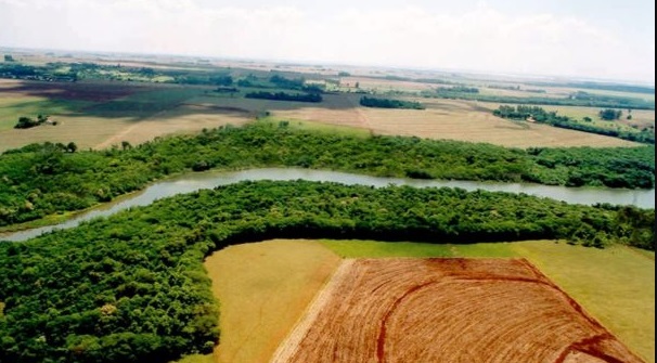 Ecosistemas conectados: clave para la conservación ambiental
