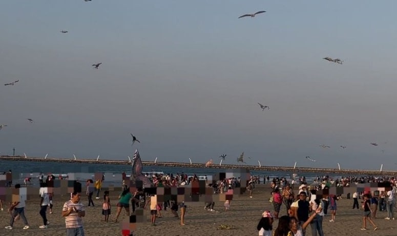 Estudiantes y padres disfrutan vuelo de papalotes en Coatzacoalcos