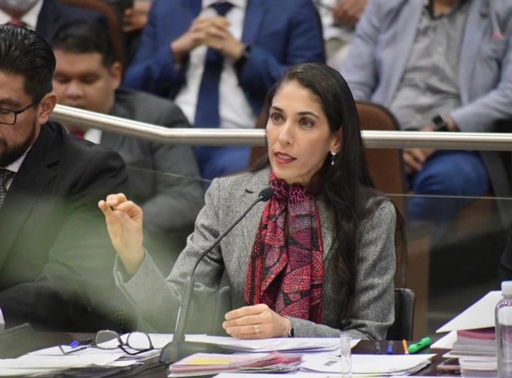 FGE bajo la lupa: revisiÃƒÂ³n crÃƒÂ­tica en el Congreso