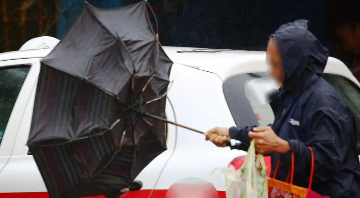 Frente frÃƒÂ­o 22: rachas de viento fuertes en Veracruz