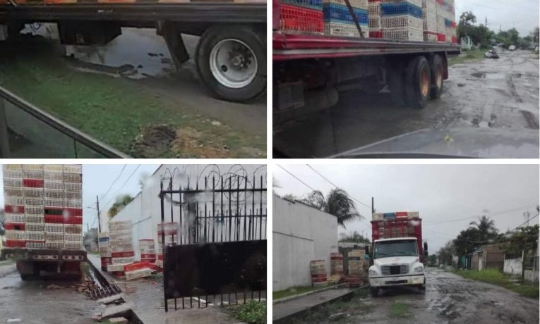 Granja clandestina de pollos genera inquietud en Coatzacoalcos