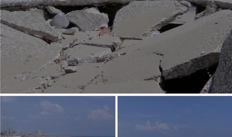 Hunden losas de banqueta en Playa Sol, Coatzacoalcos
