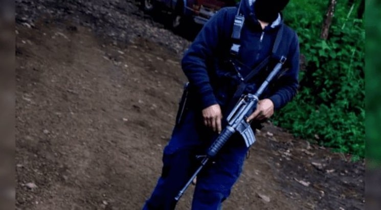 Impacto del cÃƒÂ¡rtel de Sinaloa en Veracruz analizado