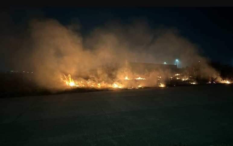 Incendios causan muerte de fauna silvestre en Coatzacoalcos