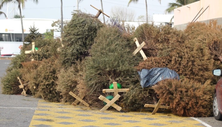 Lleva tus ÃƒÂ¡rboles de Navidad a los centros de acopio