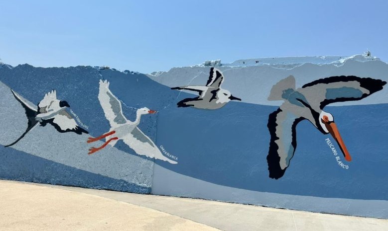 Mural en Coatzacoalcos presenta más de diez aves mexicanas