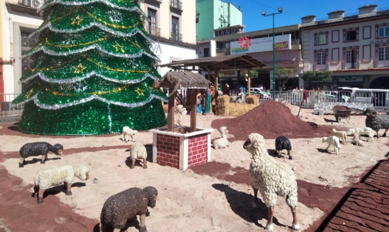 Nacimiento y pino navideÃƒÂ±o iluminan Plaza Lerdo en Xalapa