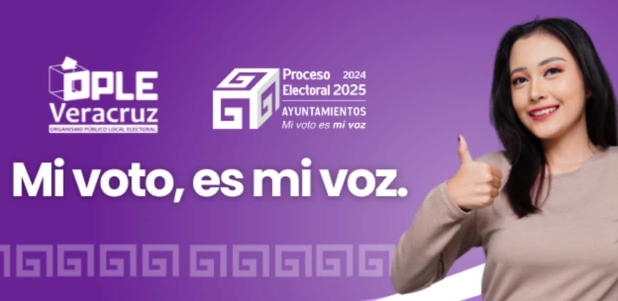Partidos deben postular afromexicanos e indÃƒÂ­genas en elecciones locales