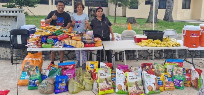 Pijamas Run: evento para recolectar croquetas en Coatzacoalcos