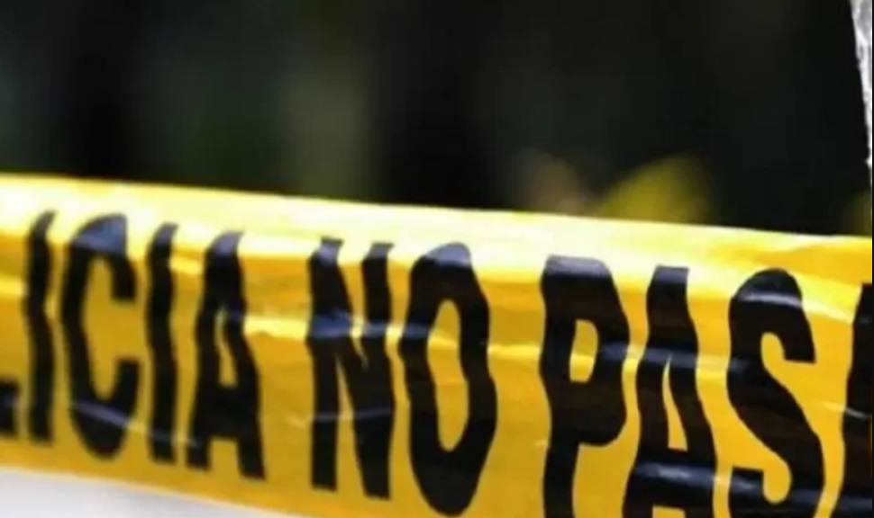 PolicÃƒÂ­as estatales heridos tras accidente con un ÃƒÂ¡rbol en Xalapa