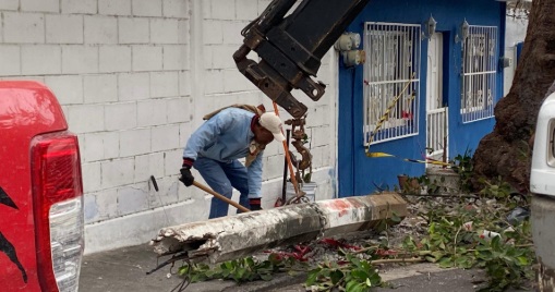 Poste caÃÂdo retirado tras fuertes vientos en la ciudad