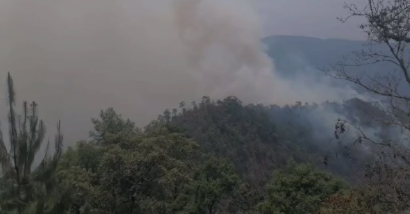 Prevención de incendios: la mayorÃÂa son causados por humanos