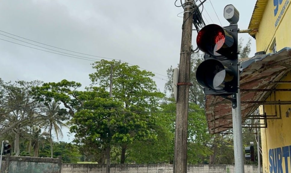 SemÃƒÂ¡foros peatonales mejoran seguridad en ÃƒÂlamo y Avenida Universidad