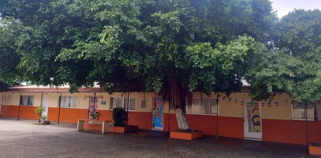 Solicitan poda de ÃƒÂ¡rboles en primaria por seguridad de alumnos