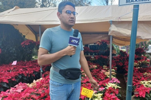 Variedad de flores de Nochebuena embellece Parque DoÃƒÂ±a Falla