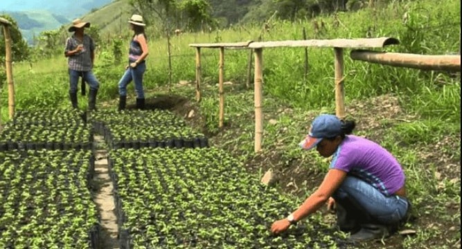 Veracruz enfrenta desafÃƒÂ­os en su economÃƒÂ­a estancada