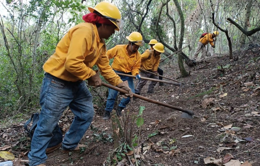 Veracruz implementa medidas contra incendios forestales en 2025